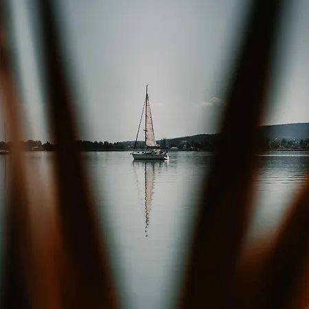 Fuzliget2- President Balatonfůzfő