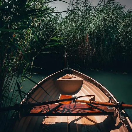 Apartament Fuzliget2- President *